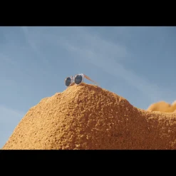 Liewood DARLA Mr. Bär Sonnenbrille für Kleinkinder 1–3 J Rose transparent Sale