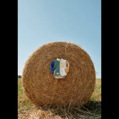 Liewood Nolan Fleecejacke Peppermint multi mix Discount